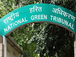 NGT directs Pune's Prayeja City to deposit Rs 5 crore compensation for norms violation